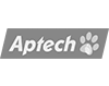 aptech-02-Copy